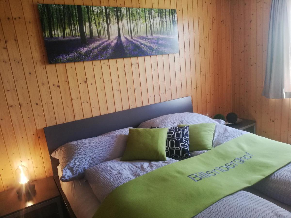 세인트갈렌 Billenberghof 아파트 외부 사진